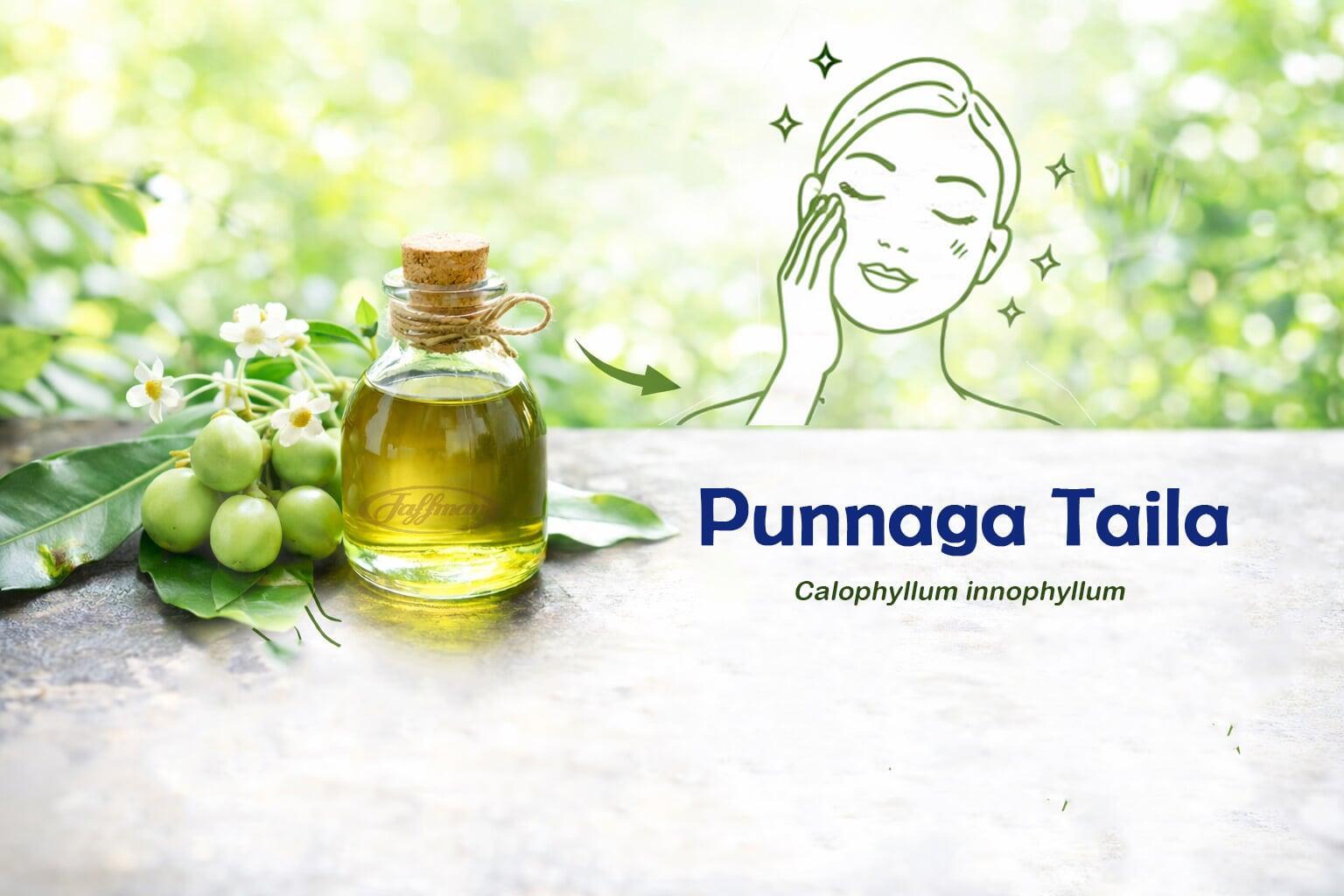 Punnaga Taila (Tamanu Oil) – Ayurvedic Elixir for Skin, Blood & Healing